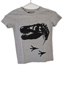 Siva majica z dinozavrom 5-6 L